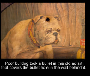 bulldog painting with bullet hole